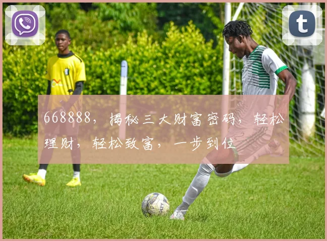 668888，揭秘三大财富密码，轻松理财，轻松致富，一步到位