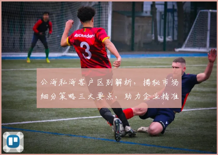 公海私海客户区别解析，揭秘市场细分策略三大要点，助力企业精准营销