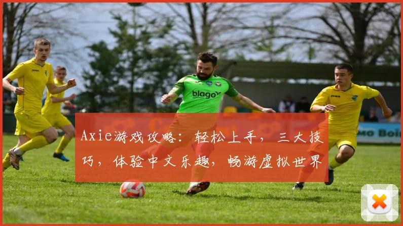 Axie游戏攻略：轻松上手，三大技巧，体验中文乐趣，畅游虚拟世界